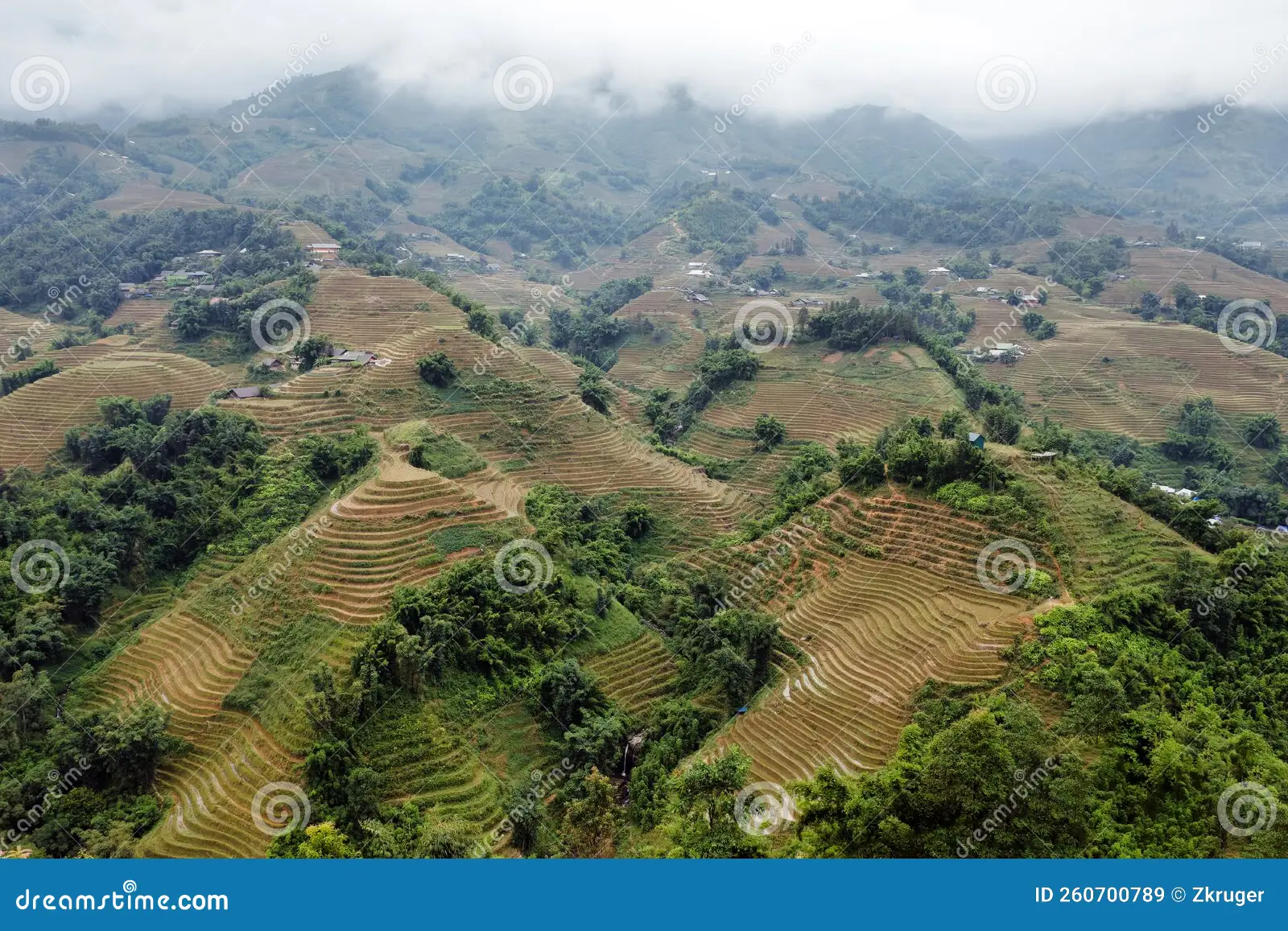Peaceful rice terraces in Sapa during Vietnam's shoulder season with golden light