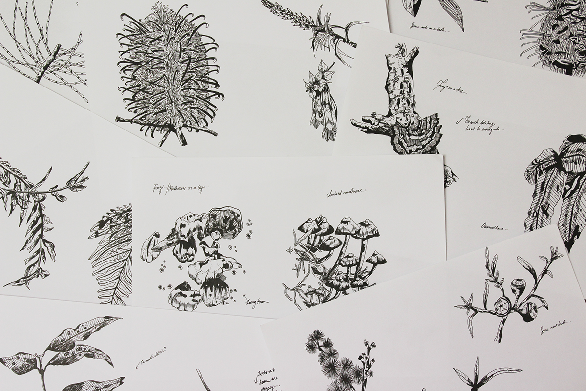 Biểu đồ so sánh chỉ số cortisol và huyết áp trước và sau khi tắm rừng