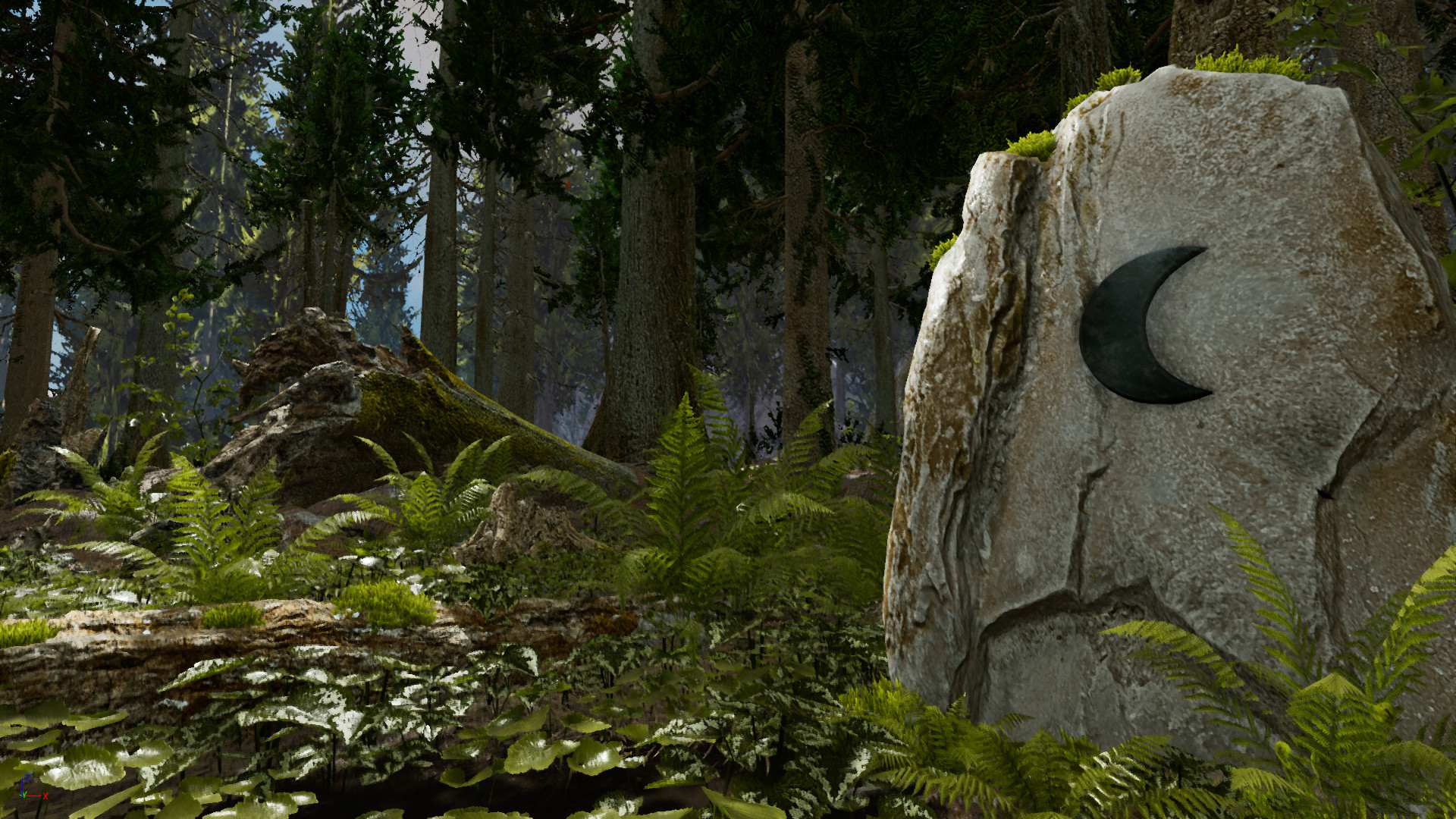 Du khách ngồi thiền yên lặng bên gốc cây cổ thụ trong rừng Nhật Bản