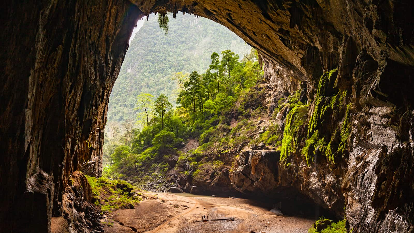 Son Doong cave interior showing massive stalagmites and jungle inside the cave