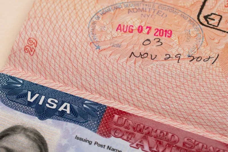 Organized travel documents including passport visa ID and travel insurance cards on a wooden table